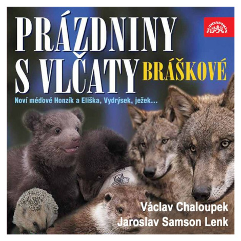 Písničky a příběhy zvířátek z večerníčků Bráškové. Prázdniny s vlčaty - Lenk Jaroslav Samson - a SUPRAPHON