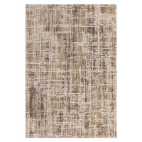 Béžový koberec 160x230 cm Kuza – Asiatic Carpets