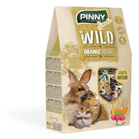 Pinny wild snack orange dream 50g