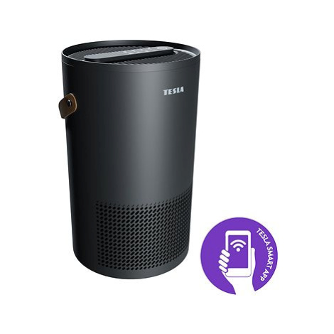 Tesla Smart Air Purifier S300B