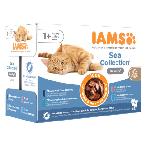 IAMS Delights Adult Sea Mix - 12 x 85 g v želé