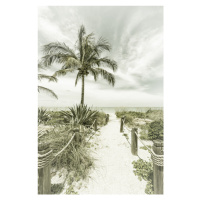 Fotografie Path to the beach | Vintage, Melanie Viola, 26.7 × 40 cm