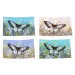 Signes Grimalt Square Butterfly Plate 4U ruznobarevne
