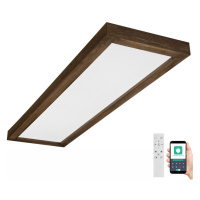 Brilagi Brilagi-LED Stmívatelné svítidlo WOODY FRAME LED/50W/230V dub 120x30 cm IP44 +DO