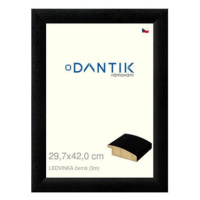 DANTIK rámeček 29,7 × 42, LEDVINKA černý plexi čiré