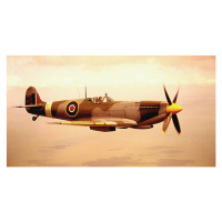 Fotografie Spitfire aircraft in flight (sepia tone), Michael Dunning, 40 × 22.2 cm