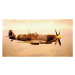 Fotografie Spitfire aircraft in flight (sepia tone), Michael Dunning, 40 × 22.2 cm