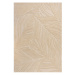 Flair Rugs koberce Kusový koberec Solace Lino Leaf Natural - 120x170 cm