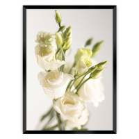 Dekoria Plakát Elegant Flowers, 70 x 100 cm, Volba rámku: Černý