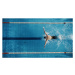 Fotografie Aerial Top View Male Swimmer Swimming, gorodenkoff, 40 × 22.2 cm