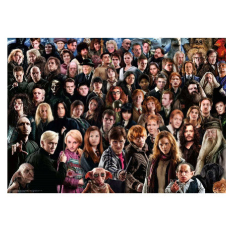 RAVENSBURGER Puzzle Challenge: Harry Potter 1000 dílků 162486