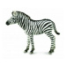 Collecta zebra