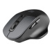 Natec optická myš BLACKBIRD 2/1600 DPI/Kancelářská/Optická/Bezdrátová USB/Černá