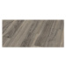 Oneflor Vinylová podlaha lepená ECO 30 068 Dockside Oak Natural  - dub - Lepená podlaha