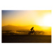 Fotografie A motorcycle races through the desert., Matthew Micah Wright, 40x26.7 cm