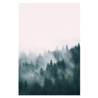 Fotografie Fog and forest, Sisi & Seb, 26.7 × 40 cm