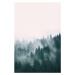 Fotografie Fog and forest, Sisi & Seb, 26.7x40 cm