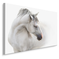 MyBestHome BOX Plátno Bílý Kůň V Mlze Varianta: 90x60