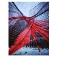 Fotografie Through the rain, Yimei Sun, 30 × 40 cm