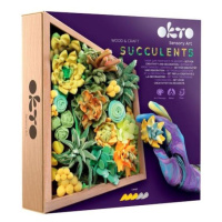 OKTO Energy Výtvarná modelovacia sada sukulentů v dřevěném rámu 21x21 cm