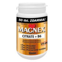 Magnex citrate 375mg+B6 tbl.100+50