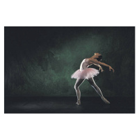 Fotografie Ballerina posing, Comstock, 40 × 26.7 cm