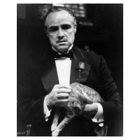 Fotografie Marlon Brando In 'The Godfather', Archive Photos, 30 × 40 cm