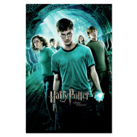 Umělecký tisk Harry Potter - Fenixův řád, (26.7 x 40 cm)