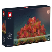 Janod Art puzzle Podzim na ostrově 2000 ks