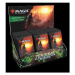 Zendikar Rising Set Booster Box