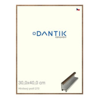 DANTIK rámeček 30 × 40, ALU profil 7273 Dýha wenge plexi čiré