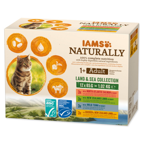 Eukanuba Iams Cat Adult mix masa v omáčce pack 12 x 85 g