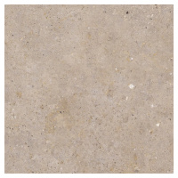 Biophilic greige 60x60 8,5MM GRIP