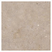 Biophilic greige 60x60 8,5MM GRIP