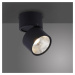 PAUL NEUHAUS LED stropní bodové svítidlo PURE-NOLA černá 1 ramenné otočné stmívatelné krokově st