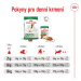 Royal Canin Mini Adult +8 8kg