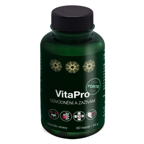 Biovita VitaPro Odvodnění a zažívání 60 kapslí
