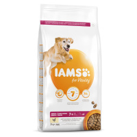 IAMS Dog Senior Large Chicken granule 3 kg