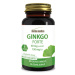 Ginkgo forte extrakt 40mg cps.80