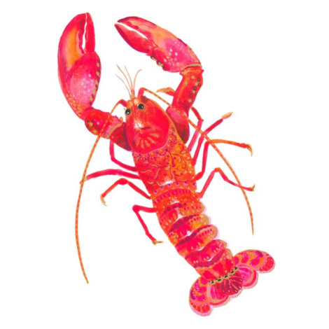 Plakát, Obraz - Patterned Lobster, Isabelle Brent, 30 × 40 cm
