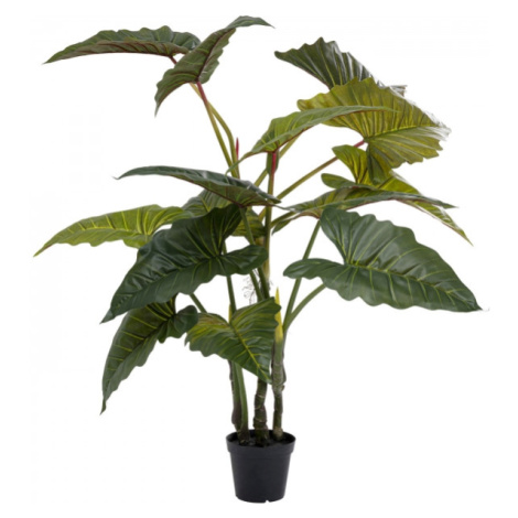 KARE Design Dekorativní rostlina Taro 180cm