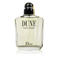 DIOR Dune Pour Homme EdT 100 ml