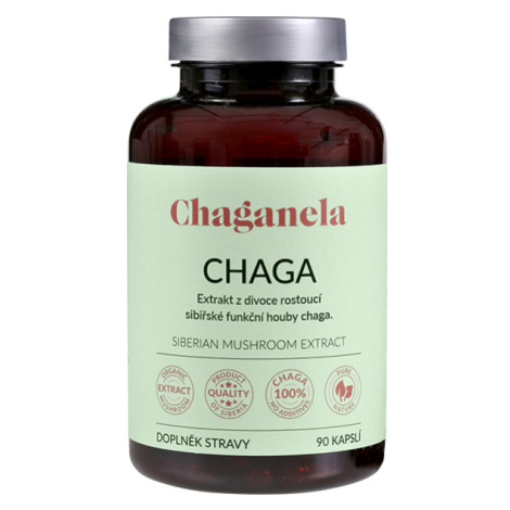 Chaganela Extrakt ze sibiřské čagy 90 kapslí