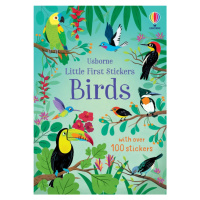 Little First Stickers Birds Usborne Publishing