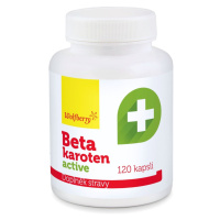 Wolfberry Betakaroten Active 120 kapslí