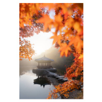 Umělecká fotografie Beautiful Autumn scene of Naejangsan national, Twenty47studio, (26.7 x 40 cm
