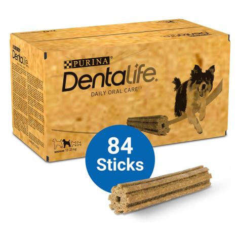 PURINA DENTALIFE pamlsky pro každodenní čištění zubů pro středně velké psy 4× 42 tyčinek