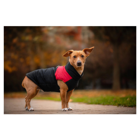 Vsepropejska Slim-rainy obleček pro psa na zip Barva: Černo-červená, Délka zad (cm): 30, Obvod h