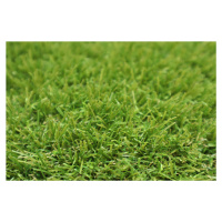 Artificial grass specialists Metrážní umělá tráva Princess - Vyříznout kruh cm