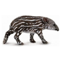 Collecta tapír mládě